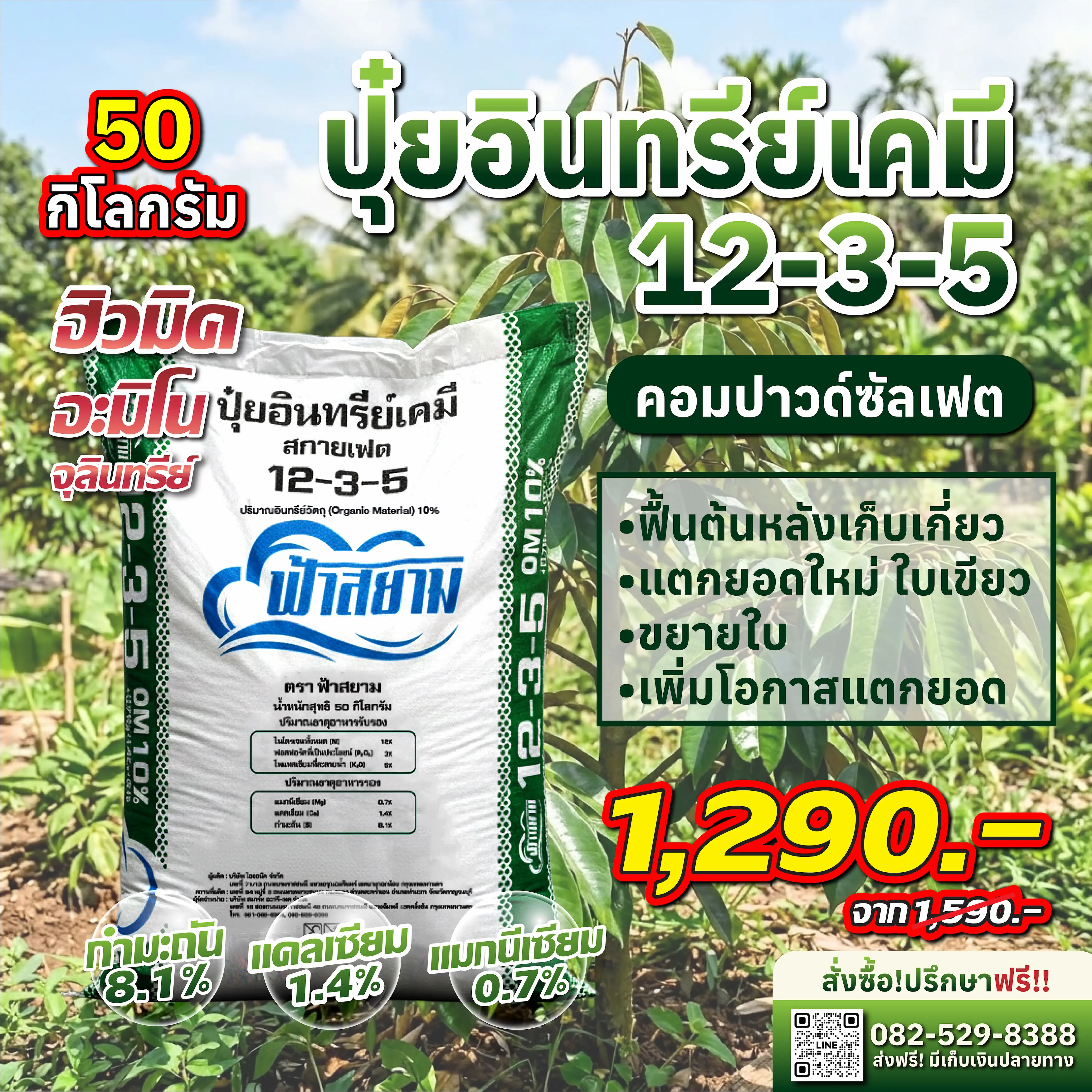 5 วิธีแก้ปัญหา "ทุเรียนใบเหลือง ดินแข็ง รากไม่เดิน" ฟื้นต้นโทรมให้กลับมาแตกใบอ่อน
